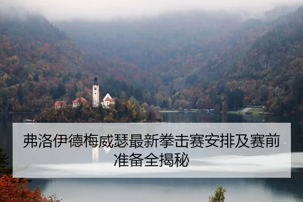 弗洛伊德梅威瑟最新拳击赛安排及赛前准备全揭秘